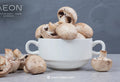 AEON ONE™ vs Four Sigmatic: Which Mushroom Supplement Better Supports Focus and Stress Relief?