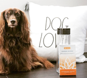 How Fulvic Acid Helps Your Dog's Health