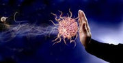 3 Top Supplements To Boost Your Immune System