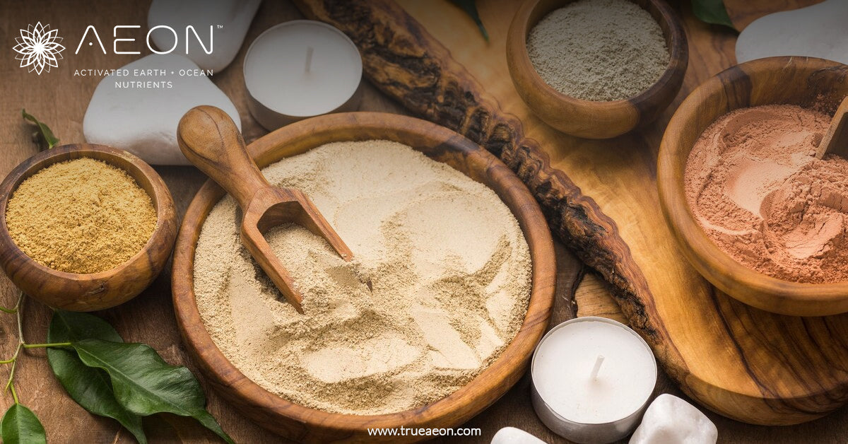 Powder Food Benefits of Superfood Powder with Mushrooms and Natural Detox – True Aeon
