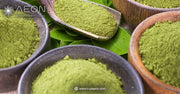 The 7 Best Greens Powders for Immune Health in 2026 
