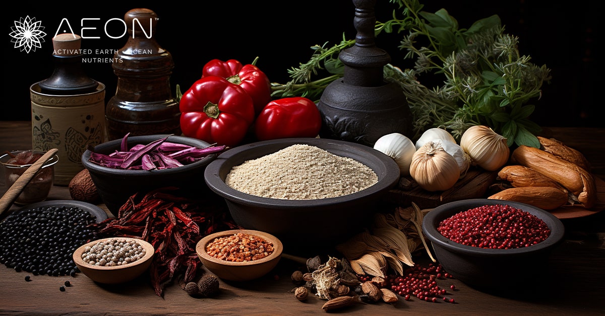 Top 5 Mushroom Superfood Powders to Boost Your Immune System