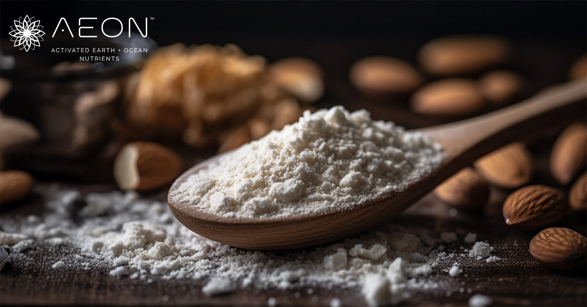 Top 6 Incredible Health Benefits of Mushroom Superfood Powders for Energy & Immunity