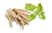 Ashwagandha vs Fulvic Acid, Two Ayurvedic Supplements [UPDATED: Jan. 2023]