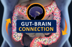 The Gut-Brain Axis: The Vital Connection Influencing Your Health and Well-being